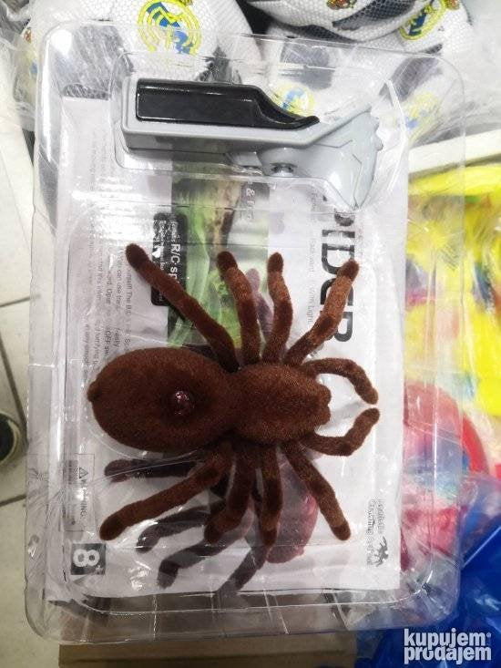 Pauk na daljinsko upravljanje
