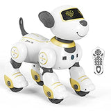 Igračka robot pas sa mogućnošću programiranja niza radnji.