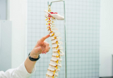 Pojas za kičmu Doctor Posture prikazan je kao zaseban proizvod.
