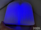 Knjiga lampa - 3 Modela - Klasik + pas knjiga lampa