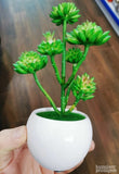 Vestacka biljka 20cm