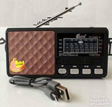 EP solarni radio model FP-256BT-S
