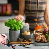 Alat za otvaranje oraha